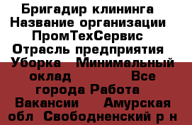 Бригадир клининга › Название организации ­ ПромТехСервис › Отрасль предприятия ­ Уборка › Минимальный оклад ­ 30 000 - Все города Работа » Вакансии   . Амурская обл.,Свободненский р-н